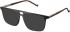 Hackett HEB252 sunglasses in Black Utx