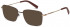 Benetton BEO3029 sunglasses in Dark Burgundy