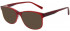 Benetton BEO1041 sunglasses in Red