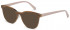Benetton BEO1040 sunglasses in Pink Horn