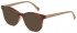 Benetton BEO1040 sunglasses in Brown Horn