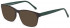 Benetton BEO1034 sunglasses in Dark Brown