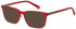 Benetton BEO1030 sunglasses in Red