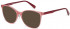 Benetton BEO1027 sunglasses in Pink