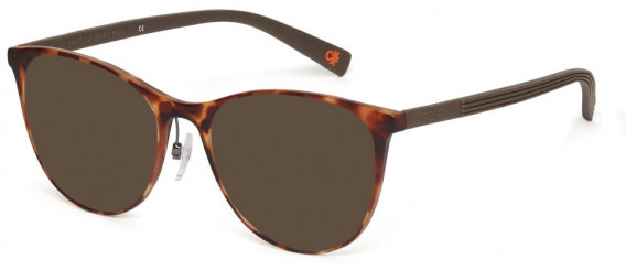 Benetton BEO1012 sunglasses in Tortoise