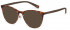 Benetton BEO1012 sunglasses in Tortoise