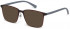 Benetton BEO1009 sunglasses in Burgundy