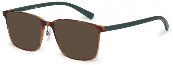 Benetton BEO1009 sunglasses in Tortoise