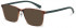 Benetton BEO1009 sunglasses in Tortoise