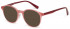 Benetton BEO1007 sunglasses in Pink