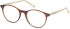 HACKETT HEB233 glasses in Horn/ Beige UTX