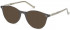 HACKETT HEB233 sunglasses in Grey/ Milky Grey UTX