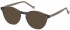 HACKETT HEB218 sunglasses in Grey/ Milky Grey UTX