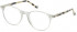 HACKETT HEB233 glasses in Grey UTX