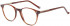 HACKETT HEB233 glasses in Dark Tort UTX