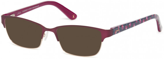 JOULES JO1014 sunglasses in BURGUNDY