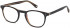 HACKETT HEB138 glasses in Black/Brown Horn UTX