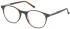 HACKETT HEB233 glasses in Black/ Brown Horn UTX