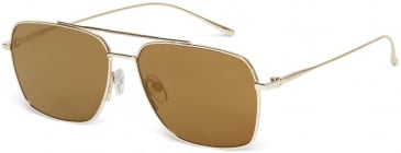 TED BAKER TB1624 sunglasses in Gold