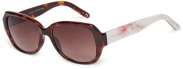 TED BAKER TB1606 sunglasses in Tortoise