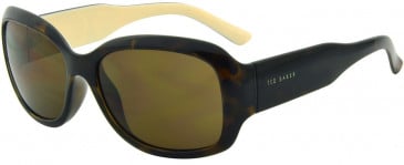 TED BAKER TB1183 sunglasses in Tort/Cream