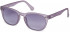 PEPE JEANS PJ7383 sunglasses in Purple