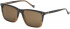 HACKETT HSB908 sunglasses in Dark Horn Gradient