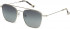 HACKETT HSB905 sunglasses in Silver