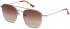 HACKETT HSB905 sunglasses in Copper