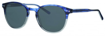 Ferucci FS586 glasses in Navy