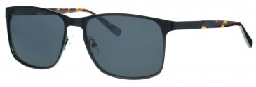 Ferucci FS585 glasses in Black