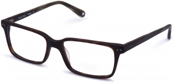 Walter & Herbert ORWELL glasses in Brown