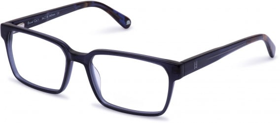 Walter & Herbert BRUNEL glasses in Blue