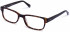Walter & Herbert BRITTEN glasses in Brown/Tort
