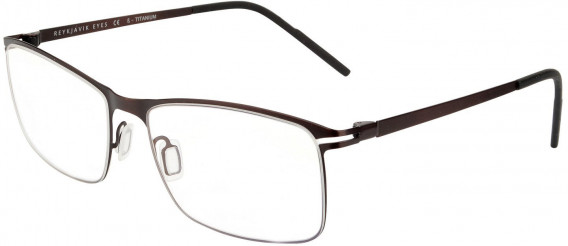 Reykjavik Eyes Black Label LOKI glasses in Brown