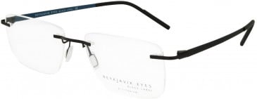 Reykjavik Eyes Black Label IVAN glasses in Black