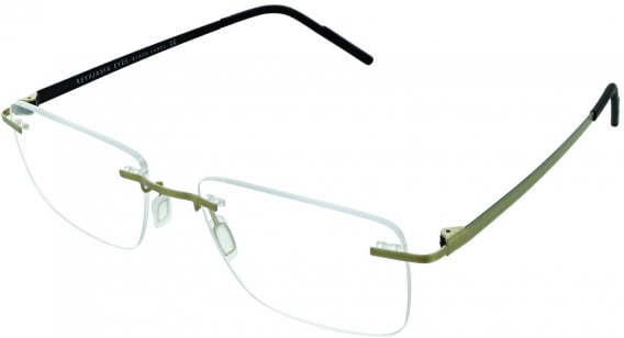 Reykjavik Eyes Black Label ERON glasses in Gold