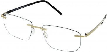 Reykjavik Eyes Black Label ANDRES glasses in Gold