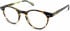 Walter & Herbert WALLIS glasses in Tort