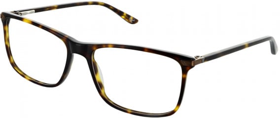 Original Penguin THE SAMUEL glasses in Tort