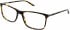 Original Penguin THE SAMUEL glasses in Tort