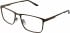Original Penguin THE BRAD glasses in Brown