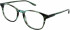 Original Penguin THE ARNIE glasses in Green
