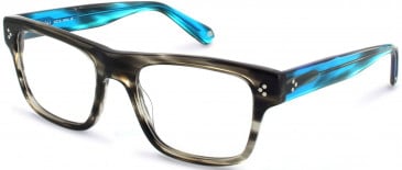 Walter & Herbert STUBBS glasses in Grey/Blue Tort