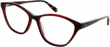 Walter & Herbert SHILLING glasses in Crimson Tort