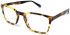 Walter & Herbert LEWIS glasses in Light Tort