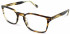 Walter & Herbert LEWIS glasses in Tort