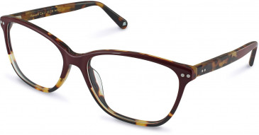 Walter & Herbert HEPWORTH glasses in Tort/Red
