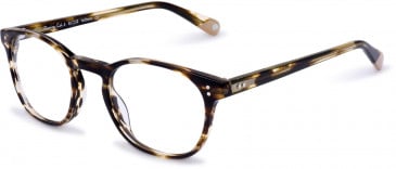 Walter & Herbert FLEMING glasses in Tort