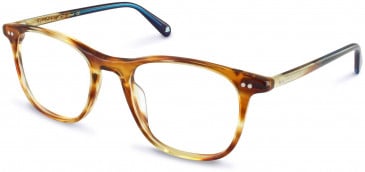 Walter & Herbert ELGAR glasses in Amber Tort/Blue
